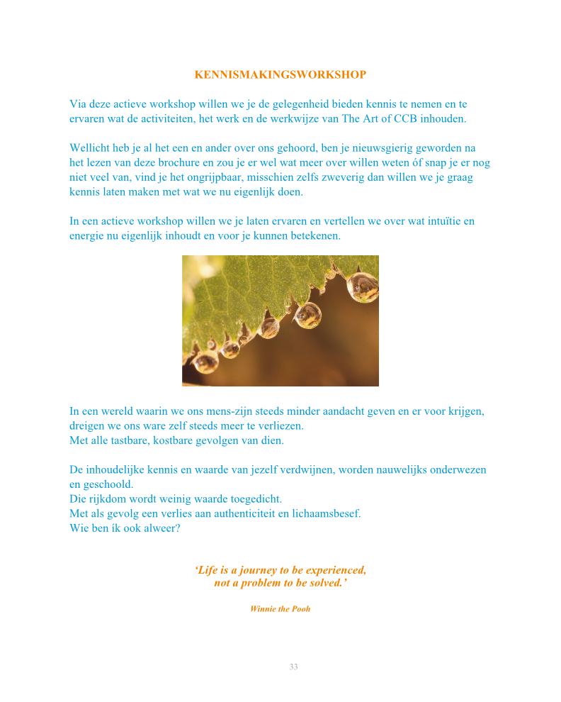Brochure TheartofCCB 2023 Brochure 2023-pagina036